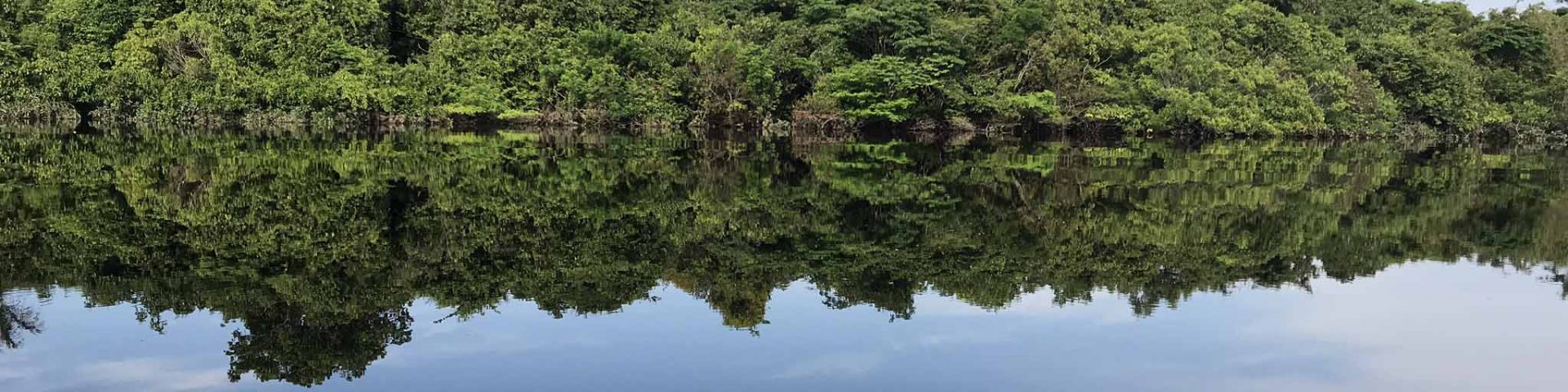 rio negro no amazonas