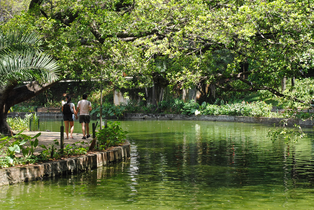 Passeio no Parque Municipal em Belo Horizonte