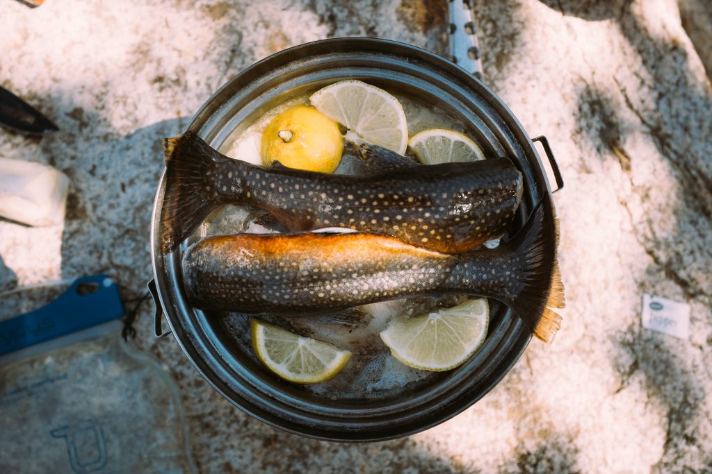 Peixes no Sul do Brasil