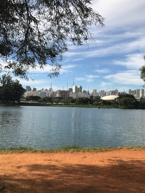 ibirapuera domingo em são paulo