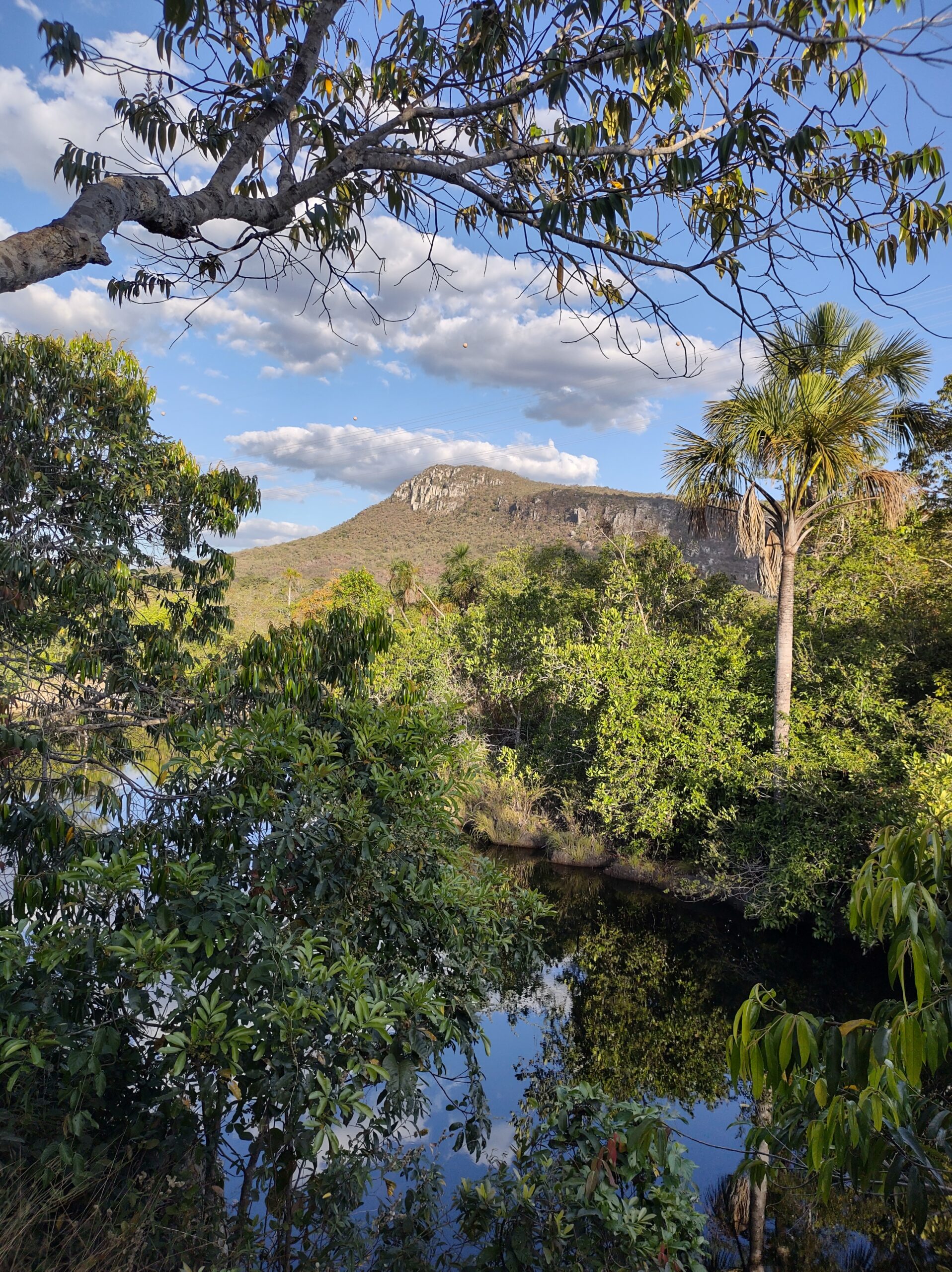 Brasília e Chapada dos Veadeiros: saiba tudo para uma viagem combinada entre cidade e natureza